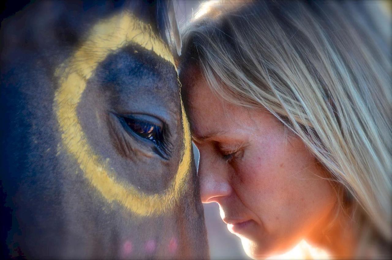 The Mountain Lion - Horses Sedona'S Most Loved Ngoại thất bức ảnh