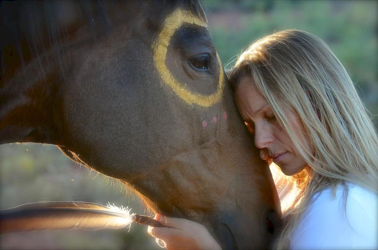 The Mountain Lion - Horses Sedona'S Most Loved Ngoại thất bức ảnh